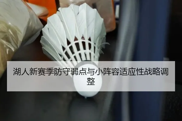 hu-ren-xin-sai-ji-fang-shou-ruo-dian-yu-xiao-zhen-rong-shi-ying-xing-zhan-lve-tiao-zheng-2-856.jpg